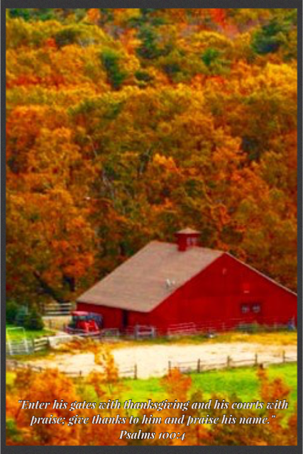 Part 2 – A “Welcome Home” for Thanksgiving 