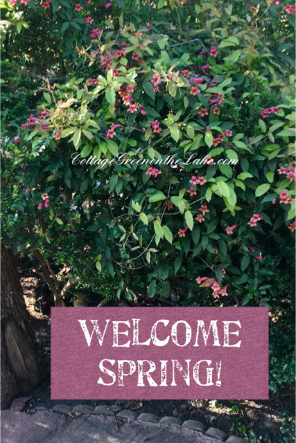 2 Welcome Spring!