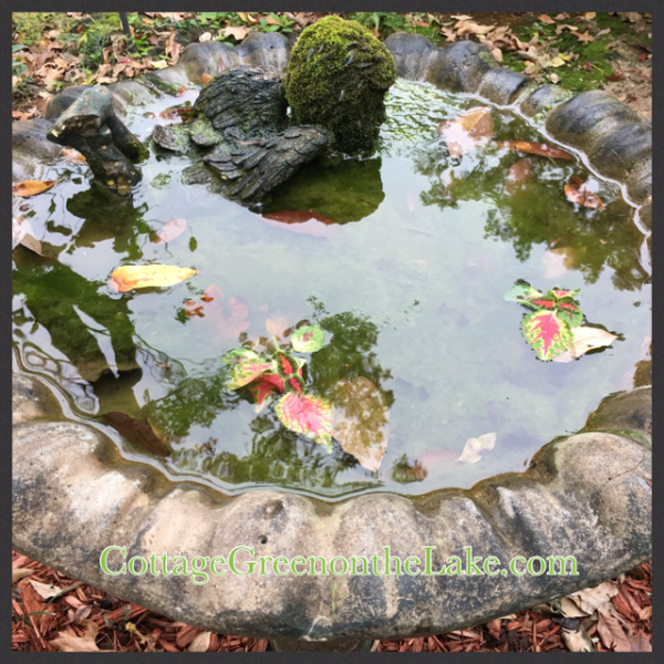 final bb closeup.png