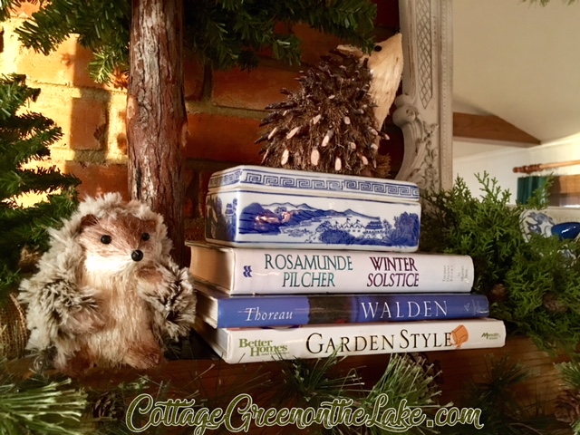 hedgehog and porcupine