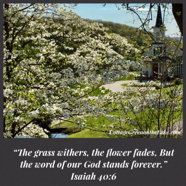 dogwood scripture