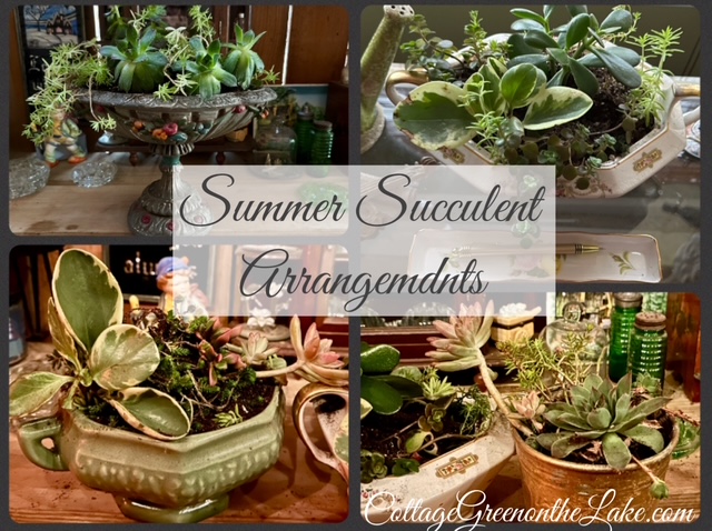 How to Make Succulent ArrangementsSummer Project in the Greenhouse   Cottage Green on the Lake